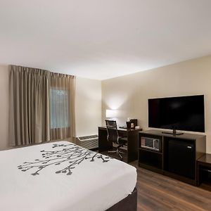 King Room Roll Shower Disability Access or Non Smoking
