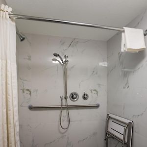 King Suite Roll Shower Disability Access or Non Smoking